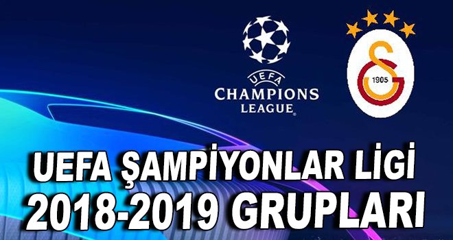 Uefa Şampiyonlar Ligi 2018-2019 Grupları